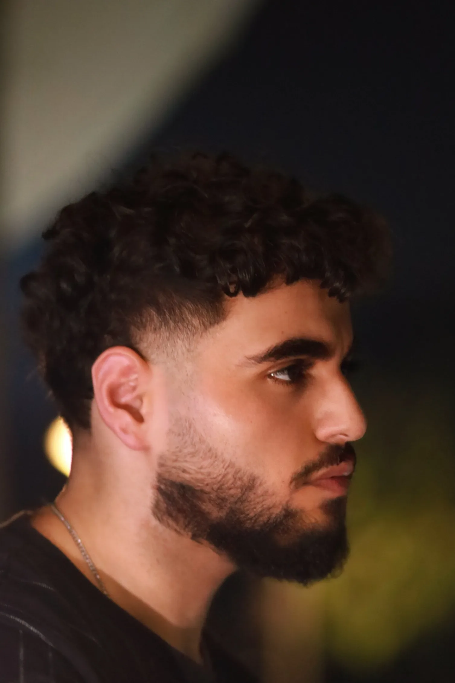 osama shaheen